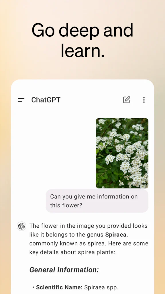 طريقة استخدام تطبيق ChatGPT