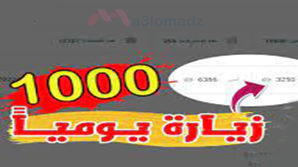 كيف أجلب 1000 زيارة يوميا لمدونتي